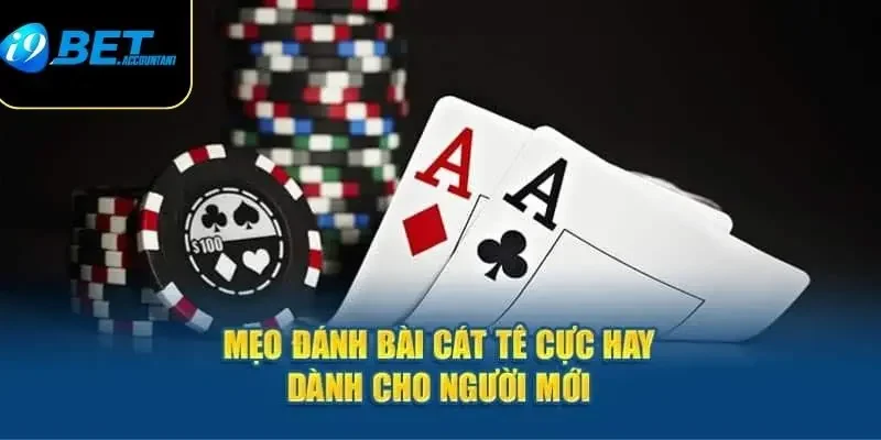 Kinh nghiệm thắng lớn khi nắm vững cách chơi bài Catte từ cao thủ