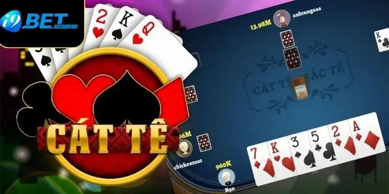 Tổng quan ngắn gọn về bài Catte