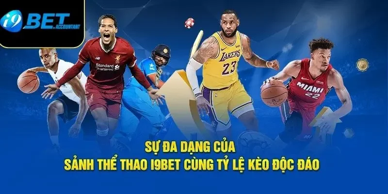 Top 3 hình thức cá cược thể thao được ưa chuộng nhất
